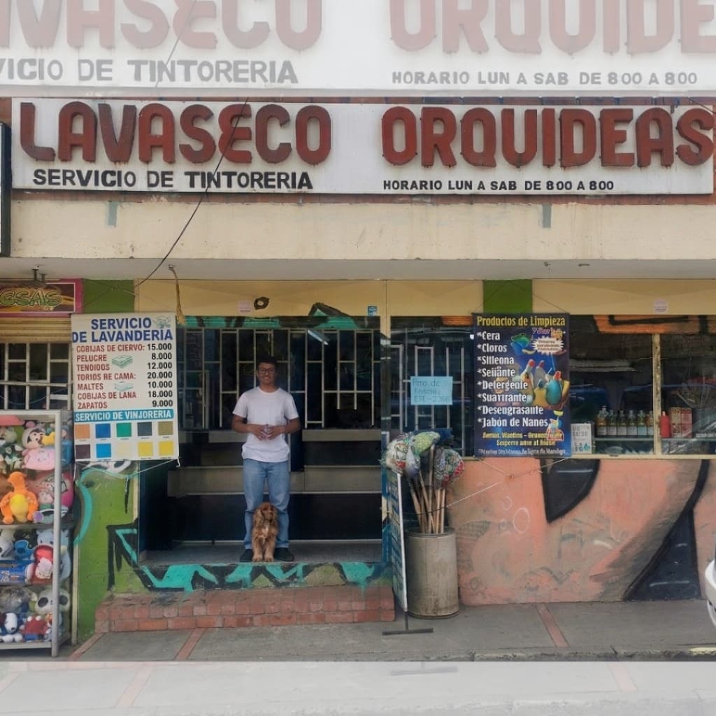 Lavaseco Orquídeas Banner