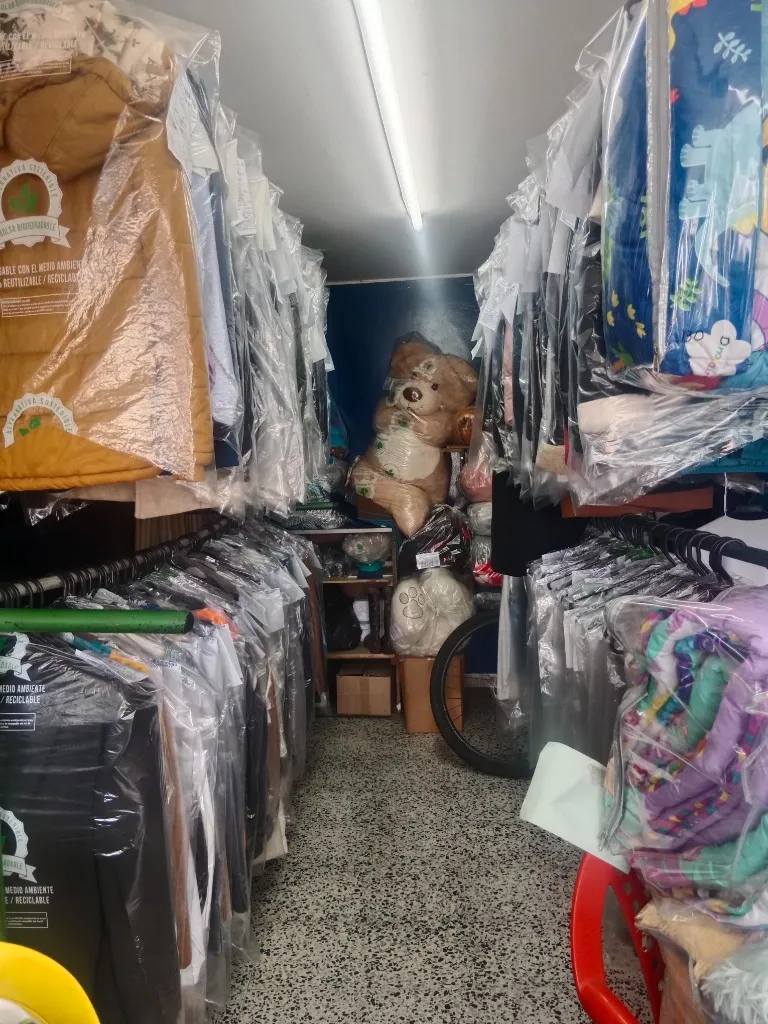 Lavado por Prendas